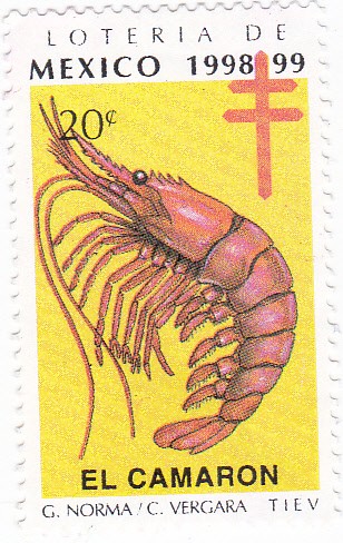 Loteria de Mexico 1998-99 -EL CAMARON