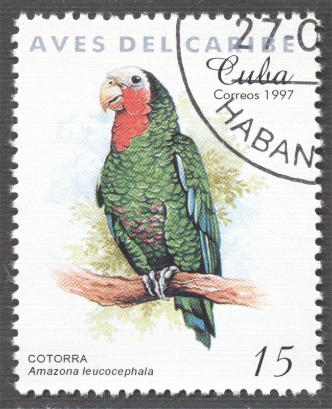 Aves del Caribe