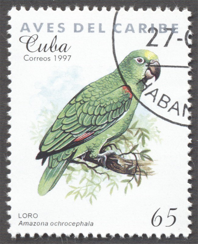 Aves del Caribe