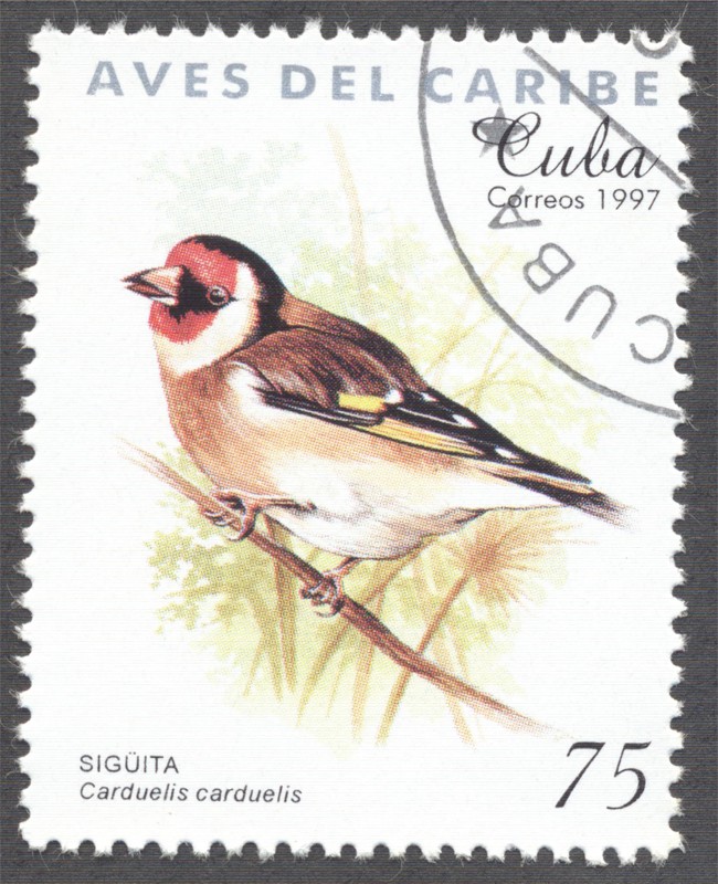 Aves del Caribe