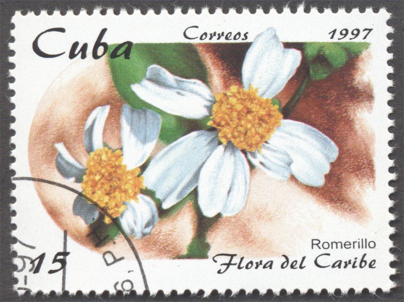 Flora del Caribe