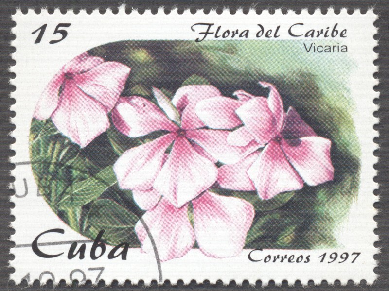 Flora del Caribe