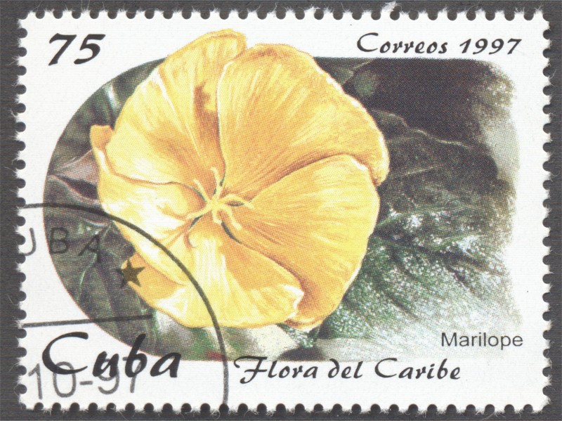 Flora del Caribe