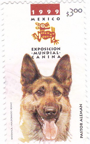 Exposicion mundial canina-pastor alemán