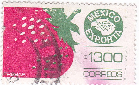 Mexico exporta-fresas