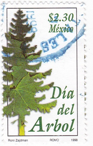 Dia del arbol