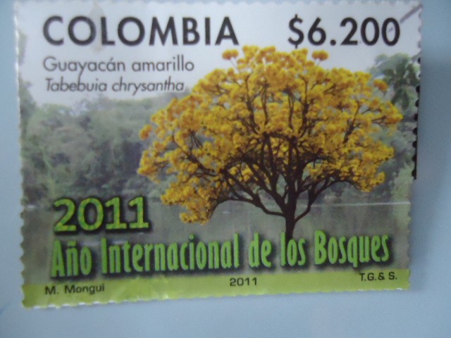 Guayacán Amarillo - 2011 Año Internacional de los Bosques