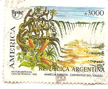 cataratas