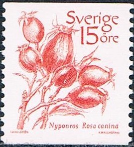 SERIE BÁSICA. FRUTOS. ROSA SILVESTRE (ROSA CANINA). Y&T Nº 1209