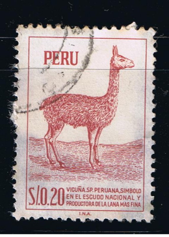 Vicuña. S.P. Peruana, símbolo en el escudo Nacional y productora de la lana mas fina.