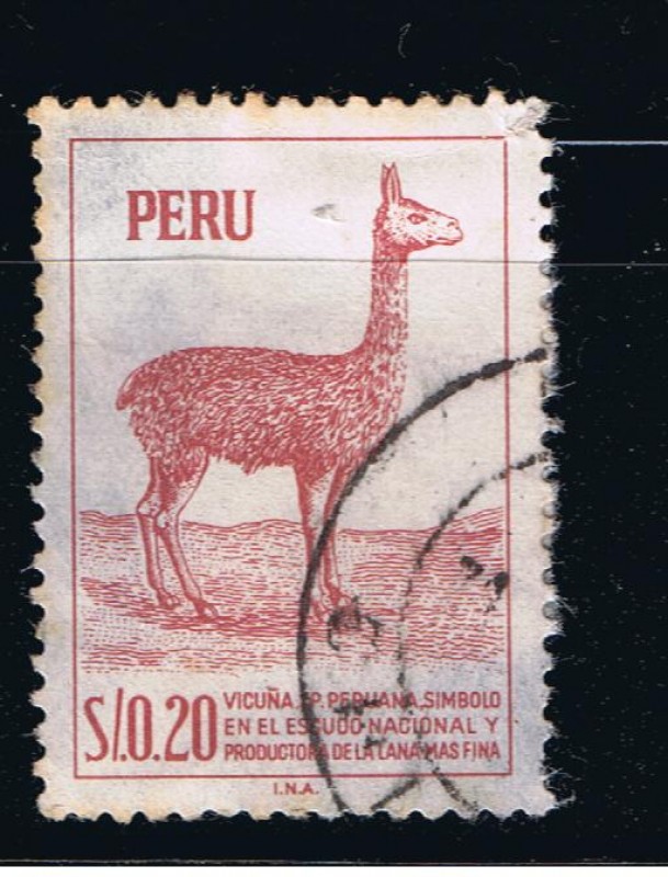 Vicuña. S.P. Peruana, símbolo en el escudo Nacional y productora de la lana mas fina.