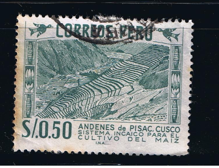 Andenes de Pisac.  Cusco    Sistema Incaico para el cultivo de maiz.