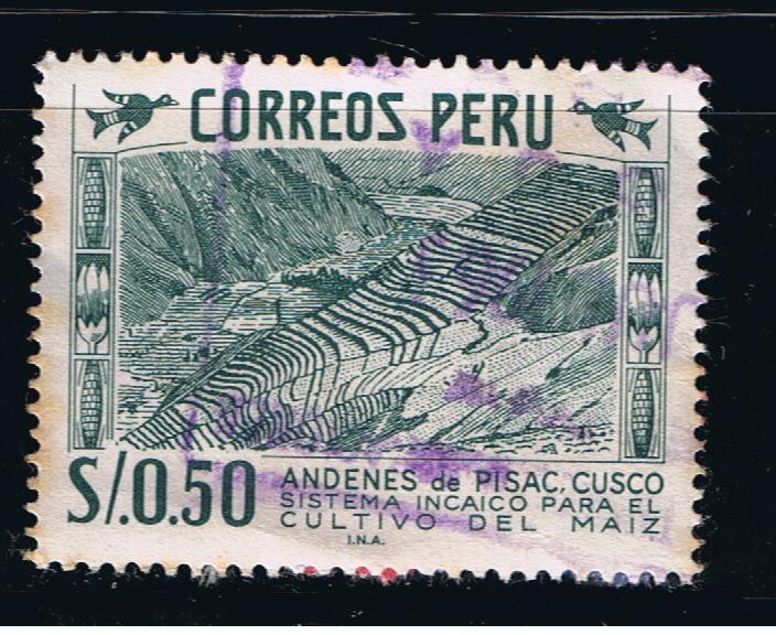 Andenes de Pisac.  Cusco    Sistema Incaico para el cultivo de maiz.