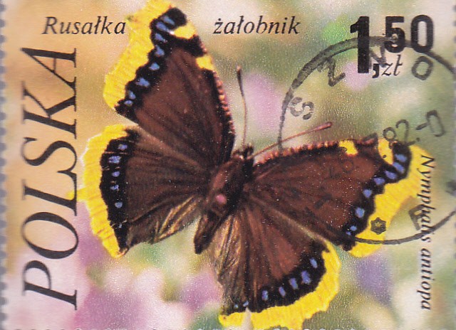 mariposas