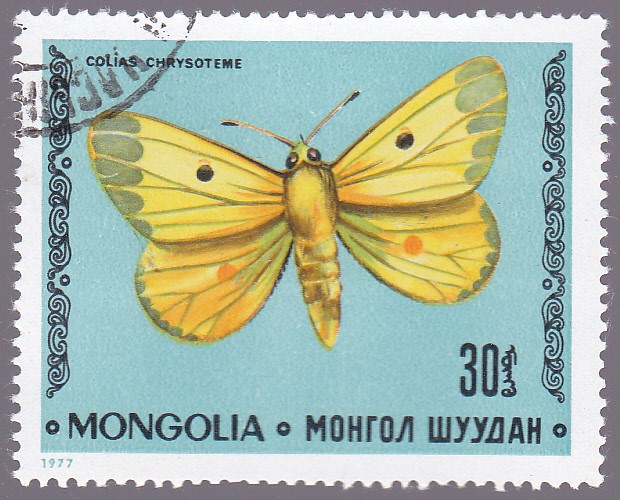 mariposas