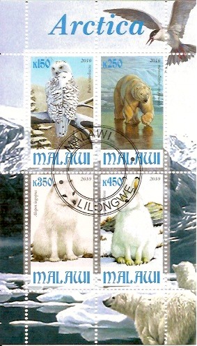 4 sellos de animales del artico