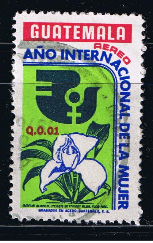 Año Internacional de la Mujer