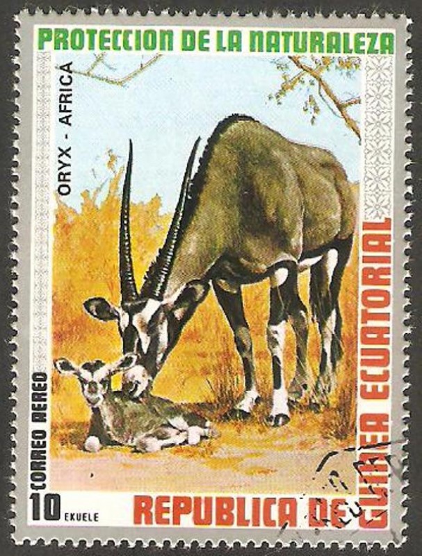 Oryx de África