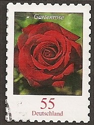 Flores de Alemania. Rosa roja.