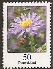 Flores de Alemania. Aster.