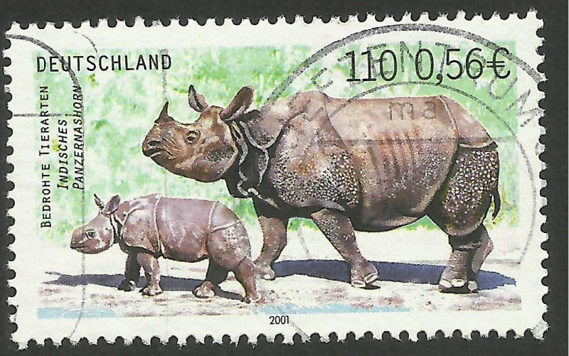 Fauna, rinoceronte