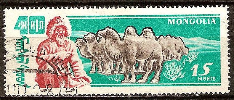 Aniv 40 años de la Independencia.Ganadería. Los camellos.