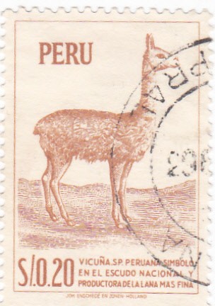 vicuña peruana simbolo en el escudo