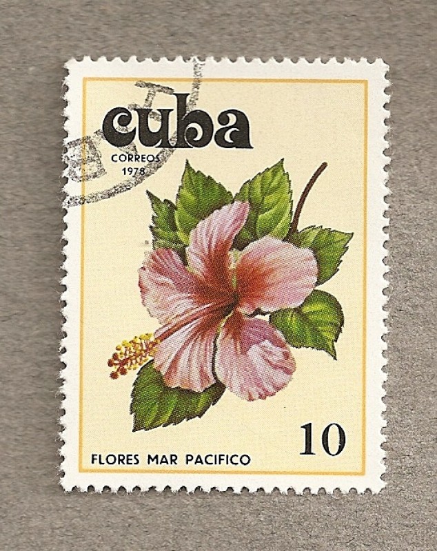 Flores del Pácifico