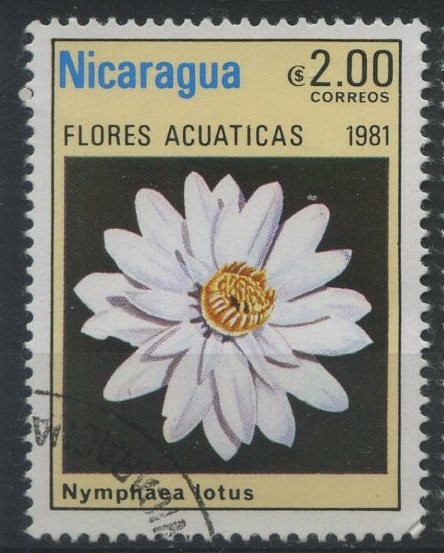 S1118 - Flores acuáticas
