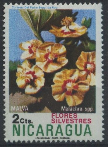 S932 - Flores silvestres