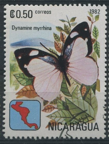 S1148 - Mariposas