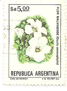 Flores