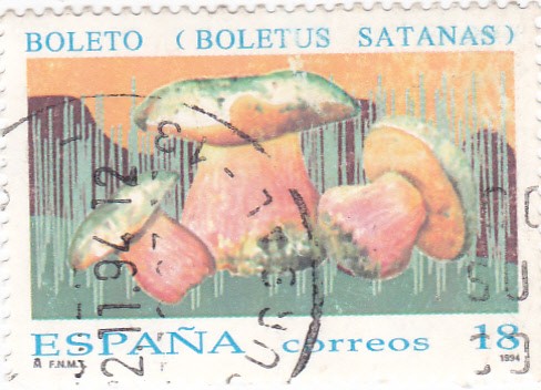 micología- (boletus satanas)