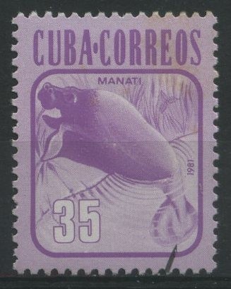 Manatí