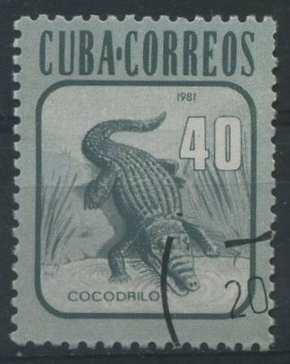 Cocodrilo