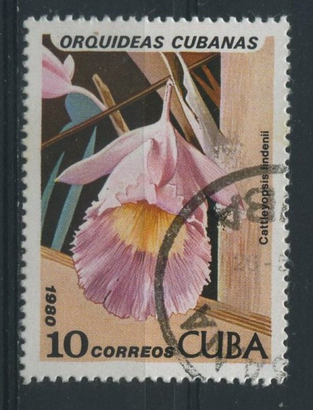Orquídeas Cubanas