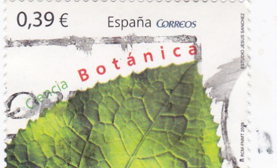 ciencia botánica