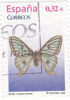 mariposas