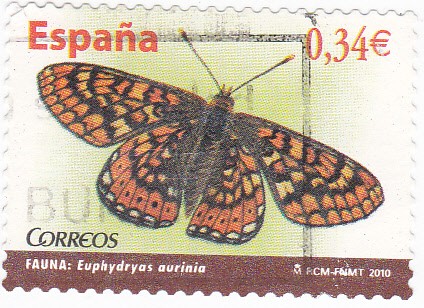 mariposa