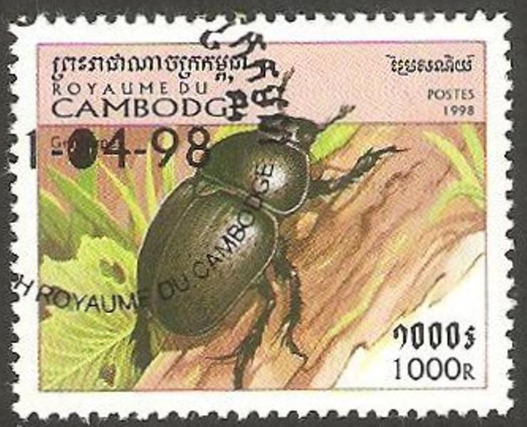 1568 - coleóptero geotrupes