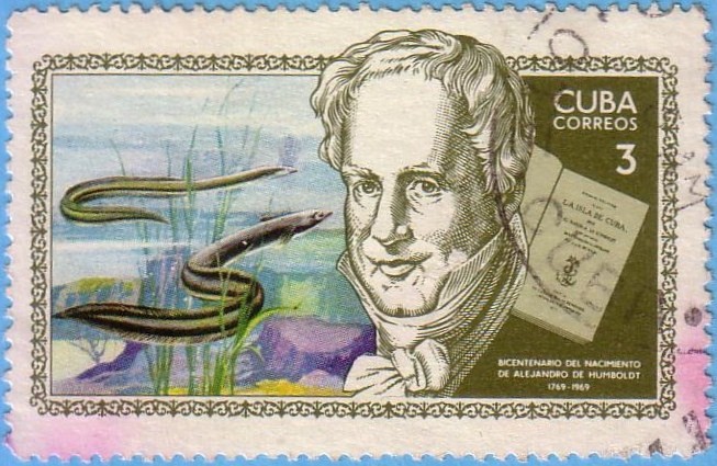 Bicentenario del nacimiento de A. de Humboldt