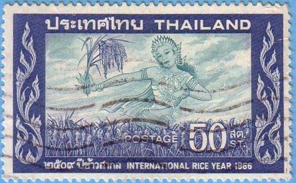 International Rice Year 1966