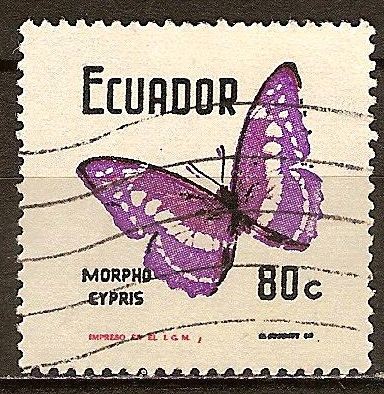 Mariposa-Morpho cypris.
