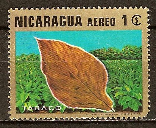 Productos nicaragüenses. 