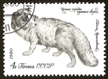 CCCP - FAUNA