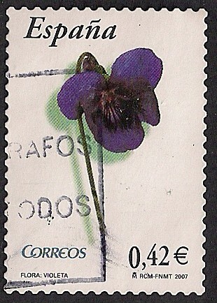Flora y fauna-Violeta
