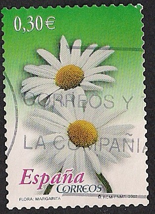 Flora y fauna- Margarita