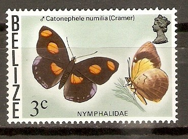 CATONEPHELE   NUMILIA