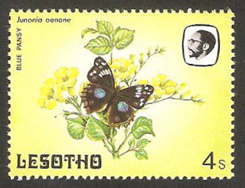 564 - mariposa