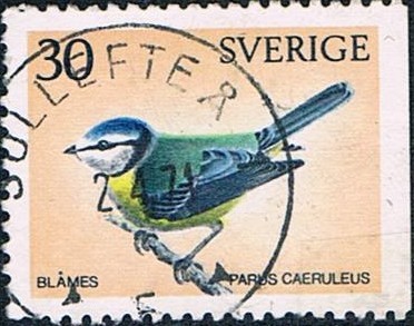 PÁJAROS EUROPEOS. HERRERILLO COMÚN. (PARUS CAERULEUS). Y&T Nº 674